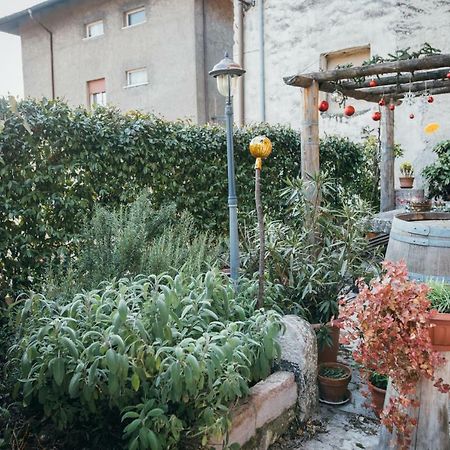 B&B Pedelmont Mezzocorona Kültér fotó