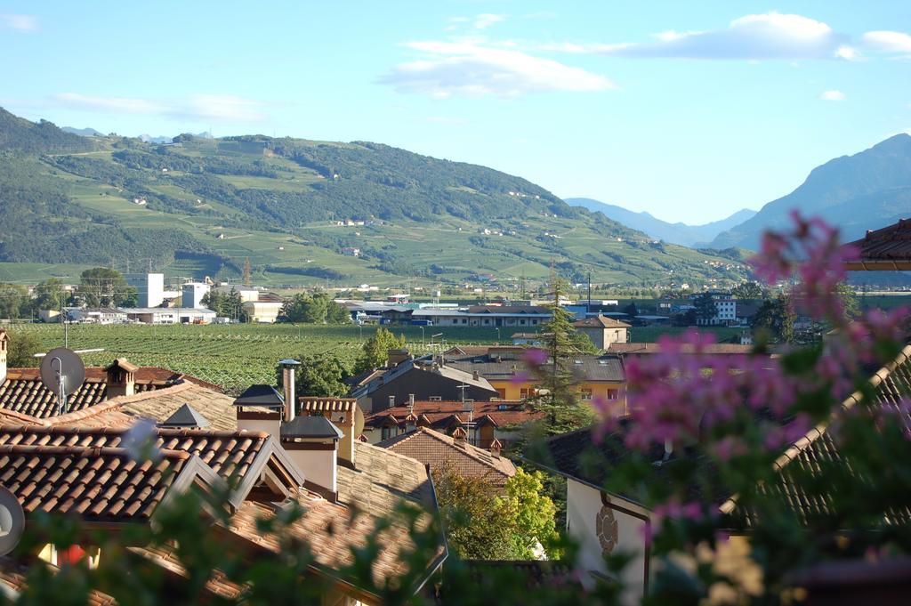 B&B Pedelmont Mezzocorona Kültér fotó