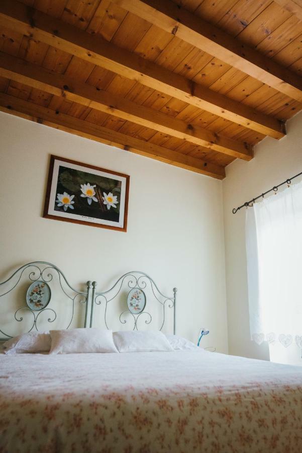 B&B Pedelmont Mezzocorona Kültér fotó