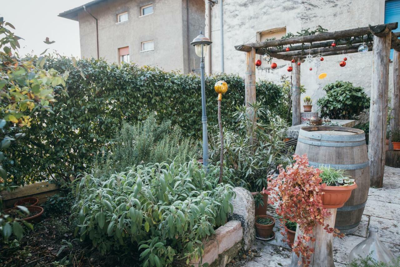 B&B Pedelmont Mezzocorona Kültér fotó